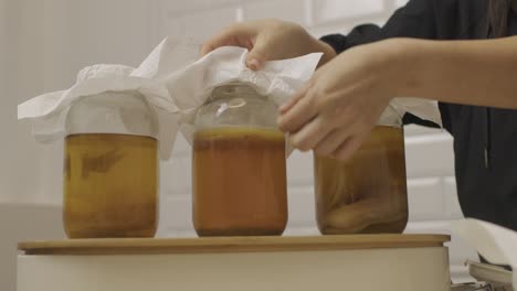 Woman-points-out-three-stages-of-SCOBY-bacteria-culture-growth-inside-glass-jars