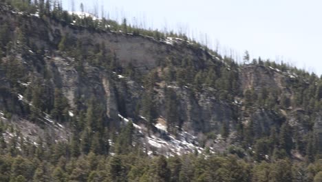 Forested-Yellowstone-mountains-during-spring