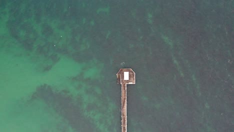 Vertical-static-drone-view-of-the-end-of-the-Point-Lonsdale-pier,-Victoria,-Australia