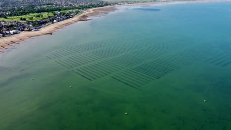 An-aerial-fly-over-of-the-oyster-beds-at-Whitstable