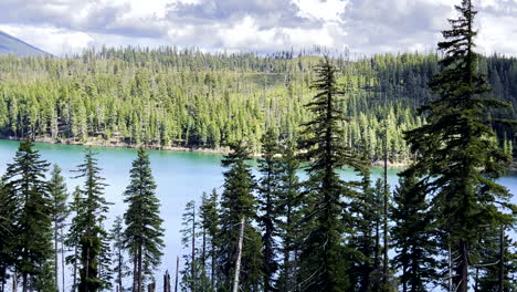 panoramic-view-of-a-lake-and-trees-in-the-mountains