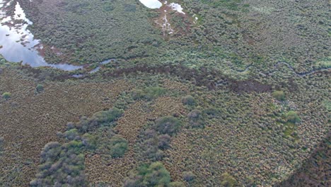 Vista-Aérea-De-Diferentes-Tipos-De-Vegetación-Y-Agua-En-El-Lago-Connewarre-Cerca-De-Barwon-Heads,-Victoria,-Australia