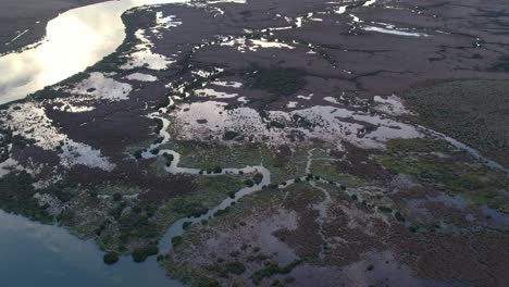 Aerial-footage-of-different-vegetation-types-and-water-in-Lake-Connewarre-near-Barwon-Heads,-Victoria,-Australia