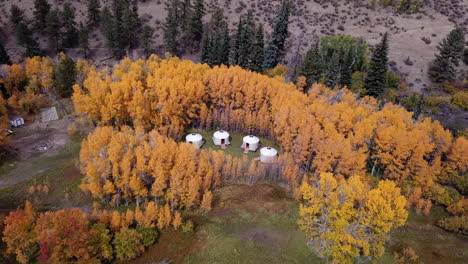 Aerial-View-of-Yurt-Tents-in-Woods,-Yellow-Autumn-Foliage-and-Campground-in-American-Countryside,-Drone-Shot