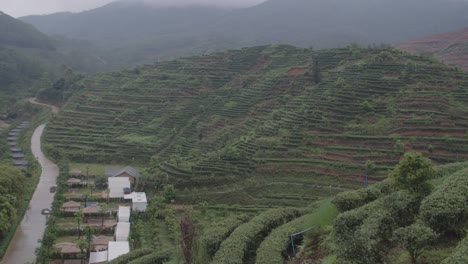 Mountain-landscape-with-Chinese-green-tea-plantation-terraces-on-the-slopes-and-tourist-camping-tents-down-below-on-an-overcast-rainy-day