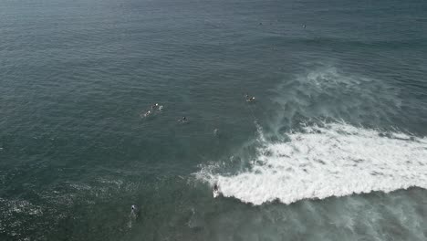 Luftaufnahme-Von-Surfern,-Die-In-Tropischen-Hawaiianischen-Gewässern-Auf-Einer-Welle-An-Land-Reiten