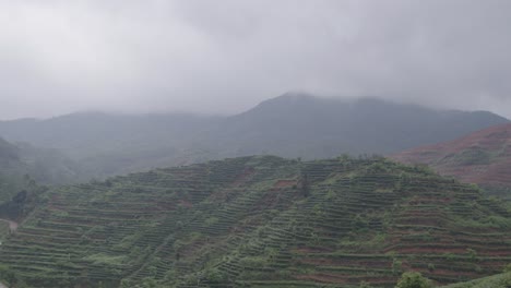 Mountain-landscape-with-Chinese-green-tea-plantation-terraces-on-the-slopes-on-an-overcast-rainy-day