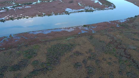 Drone-view-of-different-vegetation-types-and-water-in-Lake-Connewarre-near-Barwon-Heads,-Victoria,-Australia