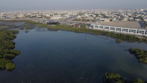 Drohnenansicht-Von-Ajman-Mangroven-Und-Golfplatz,-Auch-Al-Zorah-Genannt,-In-Den-Vereinigten-Arabischen-Emiraten,-4k-Aufnahmen