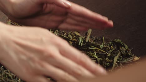Close-up-on-Asian-woman-hands-stirring-green-tea-leaves-on-traditional-firing-pan