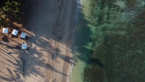 4K-Filmische-Drohnenaufnahme-Von-Wellen,-Die-Am-Strand-Von-Waikiki-Zusammenbrechen,-Während-Die-Palmen-Lange-Schatten-Auf-Oahu-Werfen