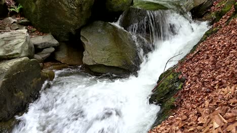 small-stream-in-the-mountain-of-North-Macedonia