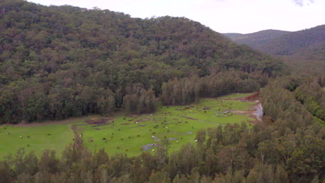 Aerial:-Drone-panning-left-around-a-field-of-horses-grazing-in-a-green-valley
