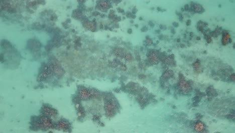 4K-Filmische-Drohnenaufnahme-Der-Koralle-Durch-Das-Kristallklare-Wasser-Am-Strand-Von-Lanikai-In-Oahu