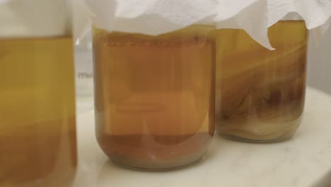 Three-glass-jars-with-three-stages-of-SCOBY-bacteria-growth