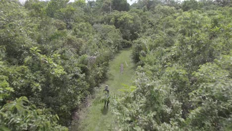 Einsame-Person,-Die-Auf-Einem-Weg-Im-Dichten-Amazonas-Regenwald-In-Kolumbien-Geht