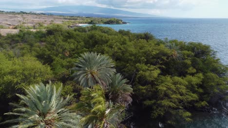 4K-Filmische-Zoom-Drohne,-Die-über-Bäume-An-Der-Küste-In-Der-Nähe-Von-Kona-Auf-Der-Großen-Insel-Hawaii-Geschossen-Wurde