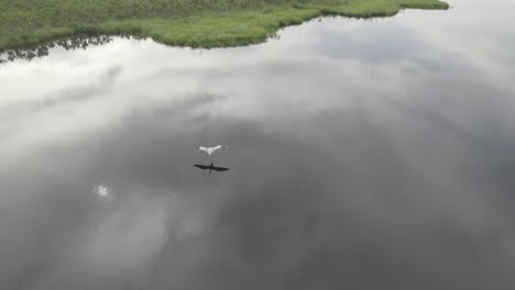 Bird-Flying-Over-Laguna-Negra-In-Colombia-On-A-Cloudy-Day---aerial-drone-shot