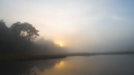 Neblige-Morgendämmerung-über-Dem-See-Ruhig-Und-Beruhigend-Für-Das-Auge