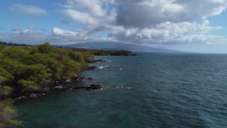4k-Filmische-Zoom-Drohne,-Die-Direkt-Neben-Bäumen-An-Der-Von-Lavafelsen-Durchsetzten-Küste-In-Der-Nähe-Von-Kona-Auf-Der-Großen-Insel-Hawaii-Aufgenommen-Wurde