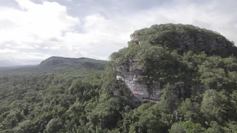 Vista-Aérea-Del-Denso-Bosque-En-Cerro-Azul,-Guaviare,-Colombia-Durante-El-Día---Disparo-De-Drones