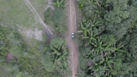 De-Arriba-Hacia-Abajo-De-Un-Automóvil-Que-Conduce-Por-Una-Carretera-Remota-Con-Una-Densa-Selva-Tropical-En-Colombia