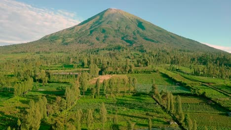 Increíble-Paisaje-Aéreo-Del-Monte-Sindoro-Y-Tierras-De-Cultivo-Rural-En-Indonesia