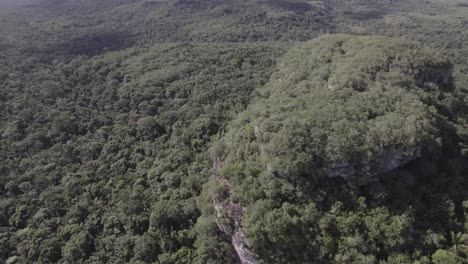 Exuberantes-Selvas-Y-Vegetación-En-Cerro-Azul,-Guaviare,-Colombia---Toma-Aérea-De-Drones