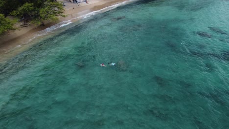 4K-cinematic-drone-shot-of-snorkelers-swimming-in-crystal-clear-water-at-Waialea-Beach-on-the-Big-Island-of-Hawaii