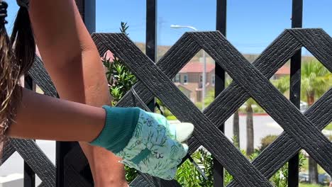 Up-close-view-of-handy-Hispanic-female-fixing-fence,-real-life-people-home-repair