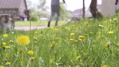 Person-Mowing-Yard-with-Dandelions,-Selective-Focus-with-Copy-Space