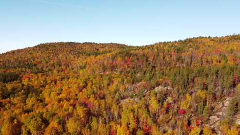 Beautiful-mountain-full-of-fall-colour
