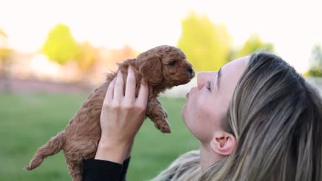 Blonde-Caucasian-Woman-Kissing-and-Snuggling-Cute-Newborn-Doodle-Puppy-Dog