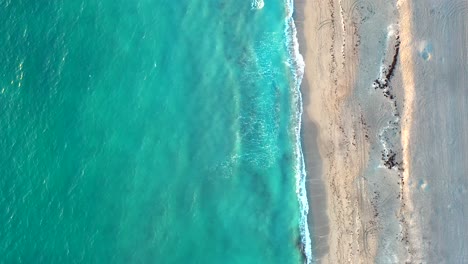 Tropical-Florida-Beach-Aerial-Looking-Straight-Down