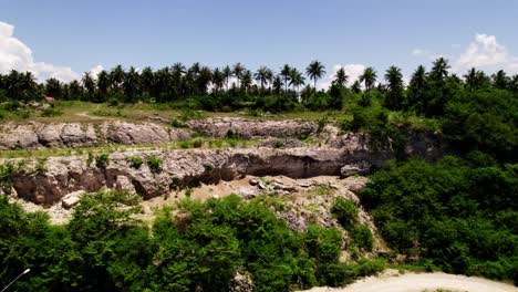 Drohne-Geht-Auf-Den-Hügel-Mit-Vielen-Kokospalmen