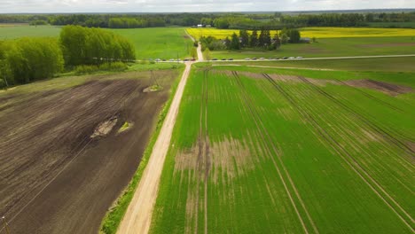 Drone-shot-from-the-top-of-a-crop-field