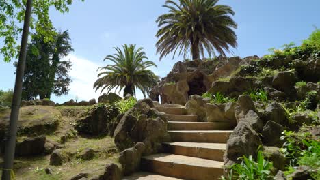 Jardim-Do-Morro-In-Portugal-Mit-Palmen,-Die-An-Sonnigen,-Hellen-Tagen-Auf-Einem-Hügel-Gepflanzt-Wurden