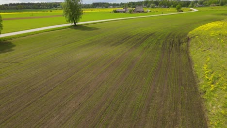 Drone-shot-from-the-top-of-a-crop-field