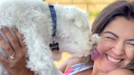 Maltese-dog-loves-his-Hispanic-female-owner-and-licks-her-face---pet-dog-affection