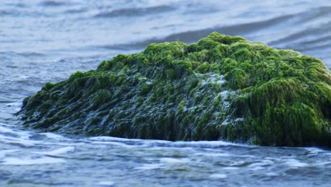 Water-rushes-over-mossy-rock