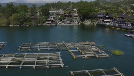 bamboo-cages-holding-seaweed-farm-in-a-lake-around-Mount-Batur-in-Bali-Indonesia,-aerial