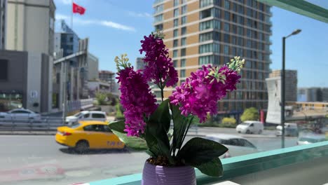 Lila-Blume-Unscharfer-Hintergrund-Mit-Vorbeifahrenden-Autos-Auf-Einer-Terrasse-In-Istanbul