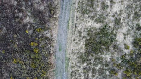 Top-Down-Aerial-Shot-with-Walker-Path-Over-Moorland-in-North-Devon-UK