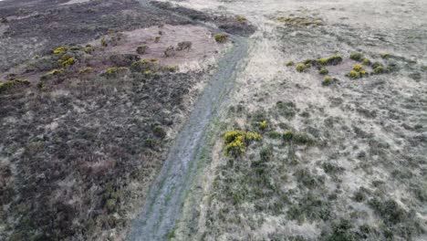 Aerial-Tracking-Shot-Over-Moorland-with-Walker-Path-in-North-Devon-UK