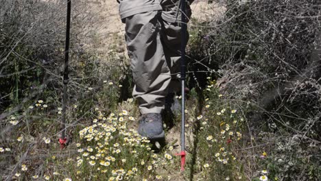 Close-up-slow-motion-of-hiker's-legs-as-he-walks-along-a-desert-trail-through-wild-flowers-and-thick-vegetation