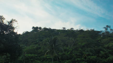 Una-Vista-Desde-La-Montaña-En-Un-Verano-En-Barangay-Mailum,-Bago-City,-Negros-Occidental,-Filipinas