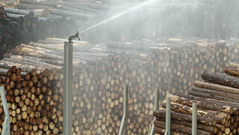 Endless-rows-of-wooden-logs-in-the-warehouse-yard