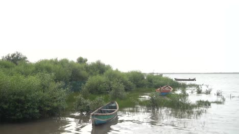 Barcos-Junto-Al-Río-Descansando-En-Maharashtra-India.-4k