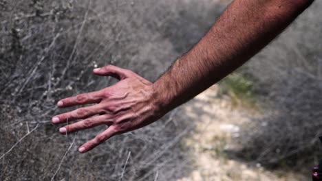 Close-up-slow-motion-of-hiker's-hand-going-through-and-skimming-branches-as-he-walks-along-a-desert-trail