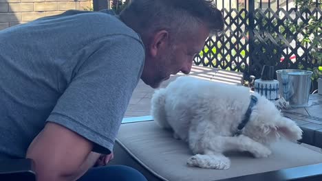 Man-playing-with-furry-white-Maltese-pet-dog-together-in-garden-shade-outdoors